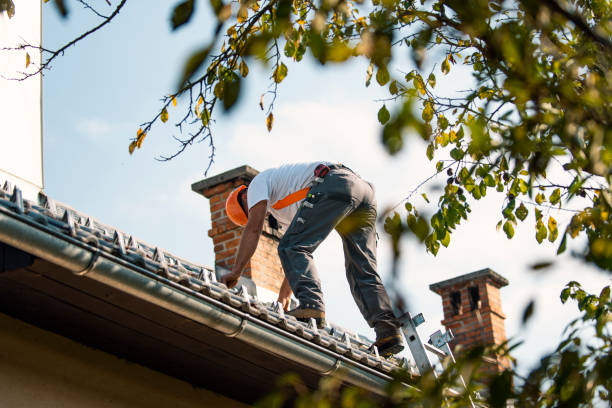 Best Roof Gutter Cleaning  in Allison, IA